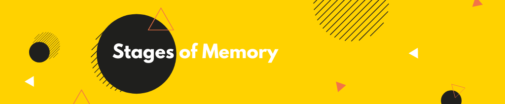 stages of memory